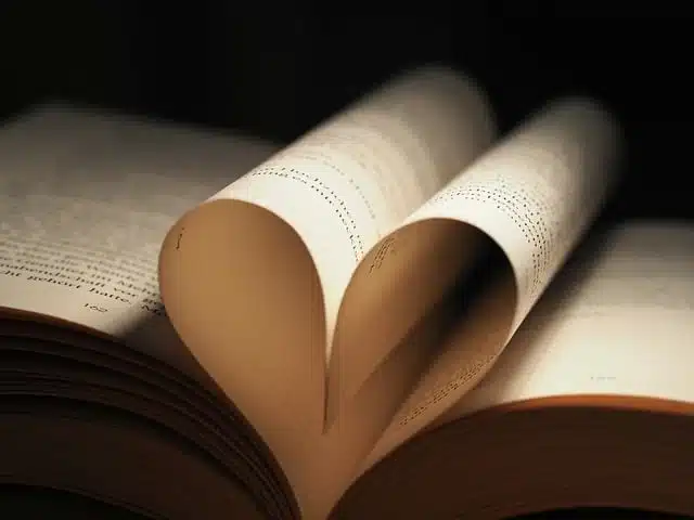 heart, free background, book, love, laptop wallpaper, valentine's day, 4k wallpaper 1920x1080, mac wallpaper, desktop backgrounds, wallpaper 4k, romantic, full hd wallpaper, love story, free wallpaper, hd wallpaper, windows wallpaper, wallpaper hd, 4k wallpaper, desktop background, cool backgrounds, beautiful wallpaper, background